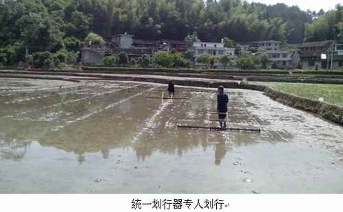 �������ֳ����ӽ�����Ķ����Ƭ��ɴ�������