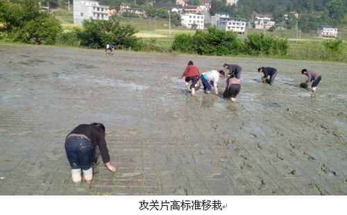 �������ֳ����ӽ�����Ķ����Ƭ��ɴ�������2