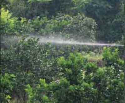 ���ϳ�Ϫ�ظ�����ֲũ������æ