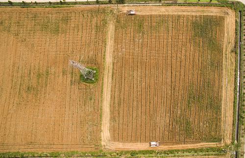 �㽭���ݣ�С�����ո�