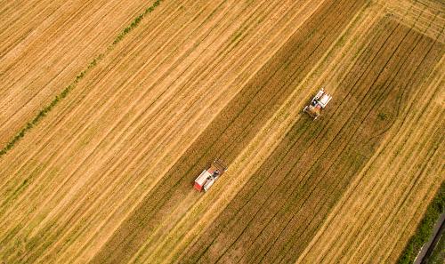 5��31�գ��ո���ڽ�ɫ���������ո�С��