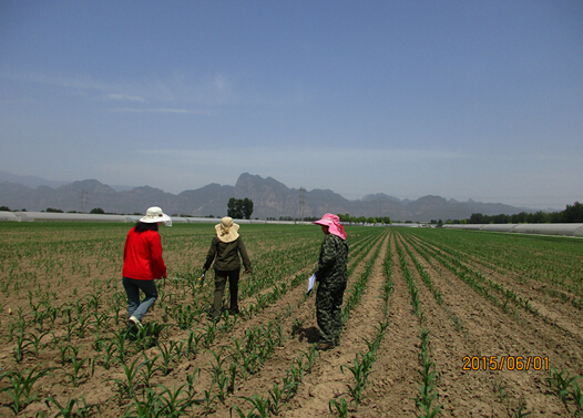 ���������ش����׳���״���Ϻ�