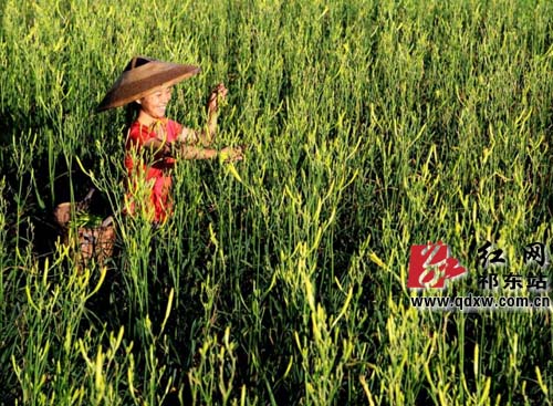 ������ػƻ��˻������ҵ�����־��Ʒ