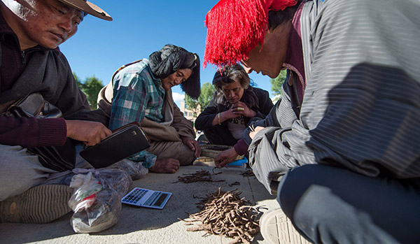 �Ĵ�������ݽ��׽�������