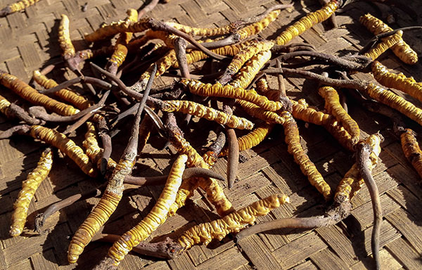 ũ����ͳ�����������ظ������㳡���׵ĳ�ݣ�6��16���㣩��