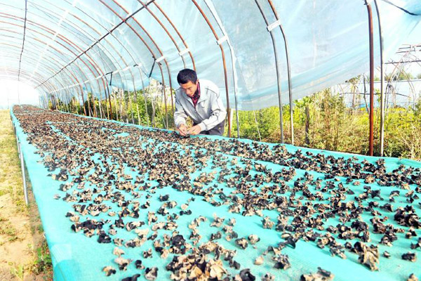 �½���Ȫ�ش��조��ľ����֮�����������