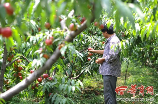 ��÷ܫ�����������վ���Լҵ����ҵ������������ͮͮ�Ĺ��ӣ�ȴ��ôҲ���˲�������