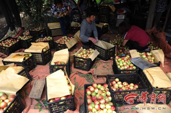 ������������������ ��ũ���ε����ӵ�3