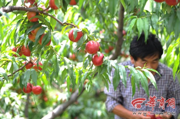 ������������������ ��ũ���ε����ӵ�4