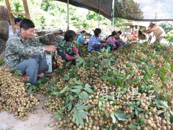 �㶫������������ӭ�����ռ�