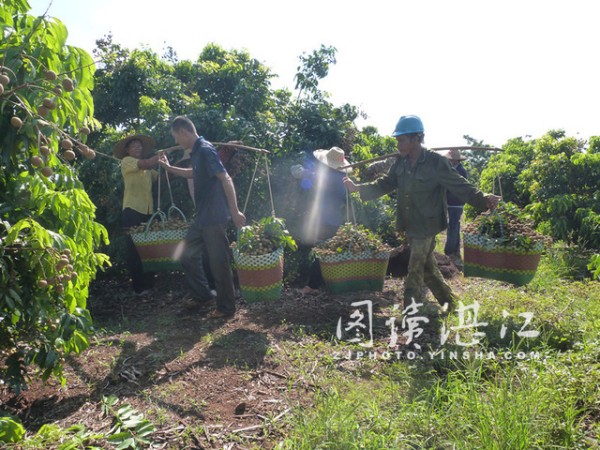 �㶫������������ӭ�����ռ�2