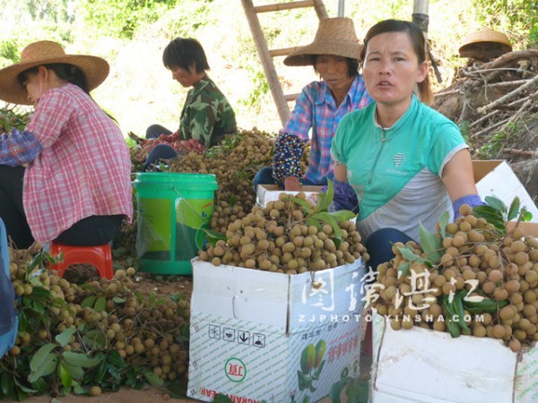 �㶫������������ӭ�����ռ�3