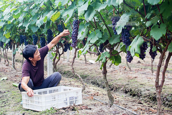 �㽭���˱���������������