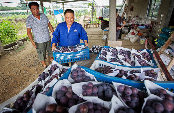 6��24�գ��������¼�亴��ũ�����ѻ��ز�ժ���������ʲ�ժ�����ѡ�