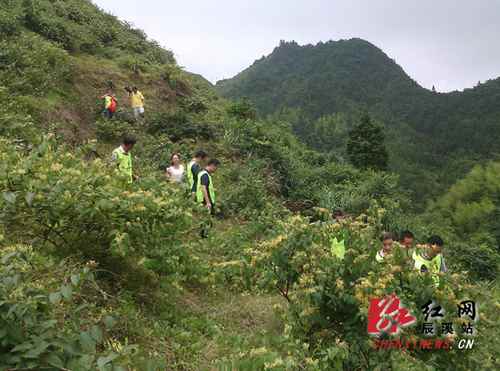 ���ϳ�Ϫ���쵼������ľϪ���н�������ҵ