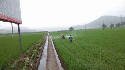 ���ϴ����ؼ�ǿ�е���Ʒ��չʾʾ��������