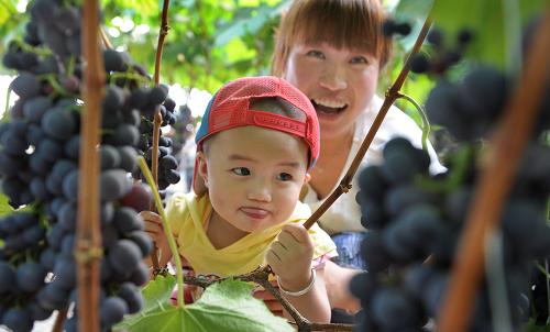 ���������أ��۹�ũҵ�ܻ�ӭ