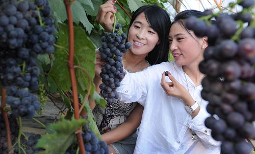 6��25�գ���λ���Ծ��ߵ���������ũũ��Ʒרҵ�����������԰���ժ��