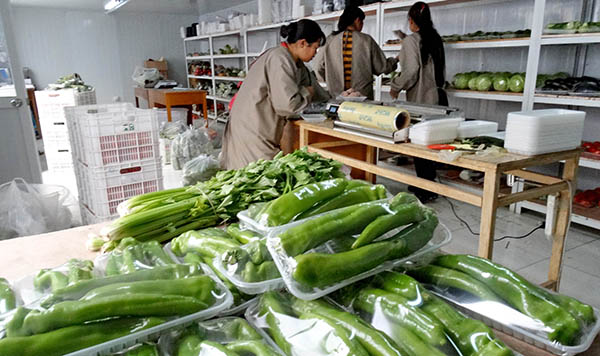 ������������ũ��ͳ��С�����롱