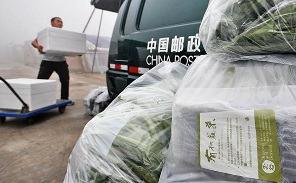 ����λ�ڱ��������صı���԰ũ��Ʒ����רҵ�����磬������Ա�ڰ��������µ��������߲ˣ�6��24���㣩��