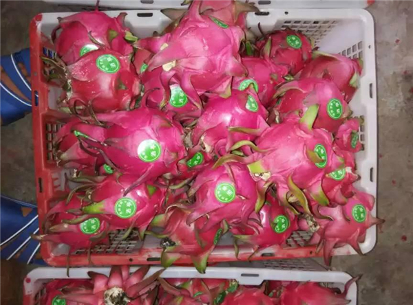 ��ˮ���ذ���ͤ���ص�һ����������