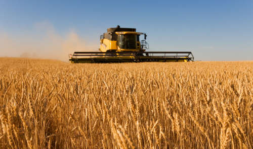 ������ʳ��ʮһ���ᡱ ���Ṥ����ũ����73.2��Ԫ