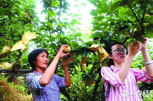 �����»���ϲ�����