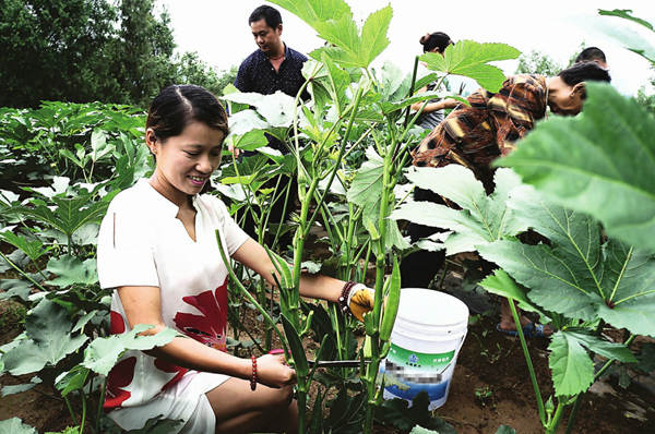 �Ĵ���¤����ժ����� ϲ�������