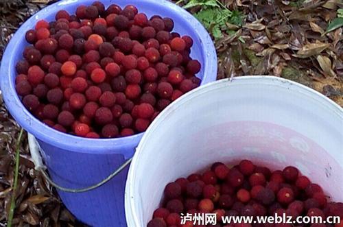 �Ĵ����ݣ��ֵ���÷����ʱ ��ũ�����ֿ���2