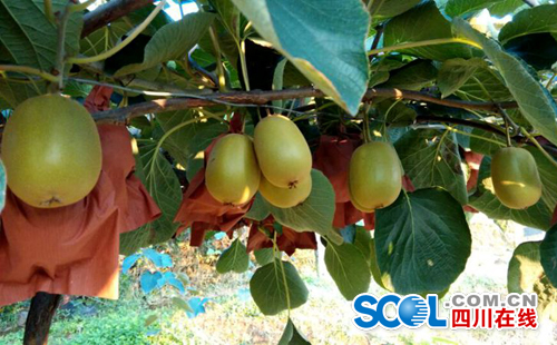 �Ĵ��˱���Ϫ����������ɫ⨺��ҷ�������