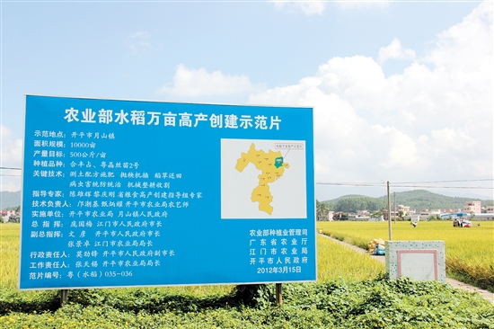 �㶫�����д��������ִ�ũҵ��չ����