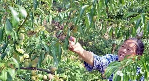 �������ϵĹ�ʵ�����������̵�