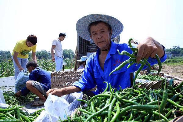 �Ĵ������У��̻ĵ����ֳ�������������