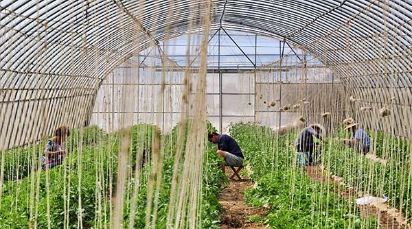 ����ͨ����������ҵ�Ƽ�԰���ڵ�һ�����ӿ�����ҵ��Ա�����о���ľ���ƣ�7��6���㣩��