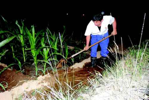 ɽ������Т��ũ���������������