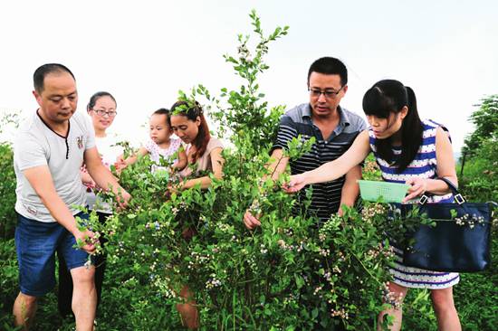 �Ĵ��ϳ��ƺ����ݮ��� ��������Զ������