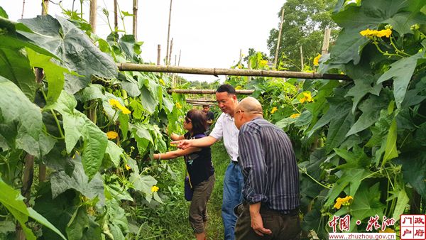 ����ɫʳƷ����Ϊ���ϲ����ִ�ũҵ��չ����