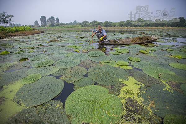 �㽭�����ֳ����»�����ʵϲ�����