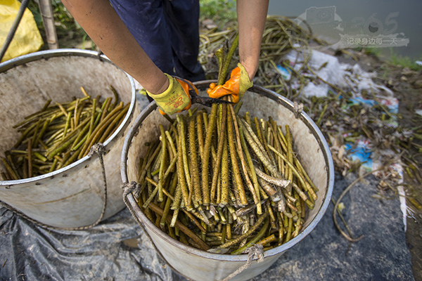 �㽭�����ֳ����»�����ʵϲ�����2