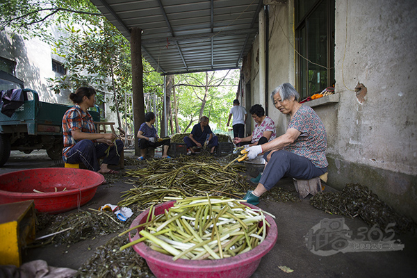 �㽭�����ֳ����»�����ʵϲ�����3