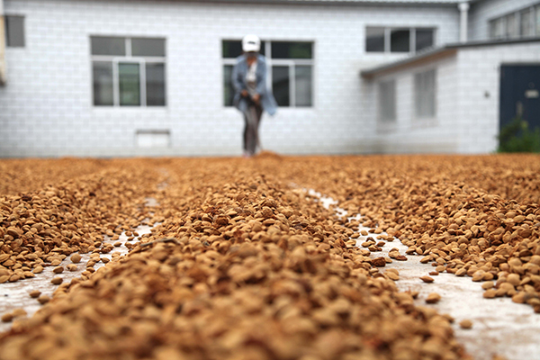 �ӱ��е�ɽ�ӷ���