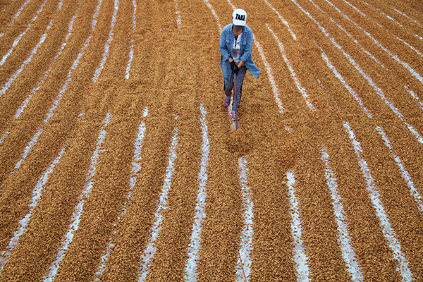 7��15�գ�ũ���ںӱ�ʡ�е��ге���������һ�չ�����ɹɽ�Ӻˡ�