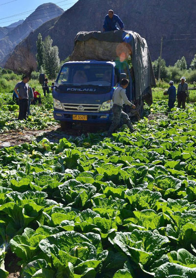 �½��;��ذ���̨���޹�����ײ�����