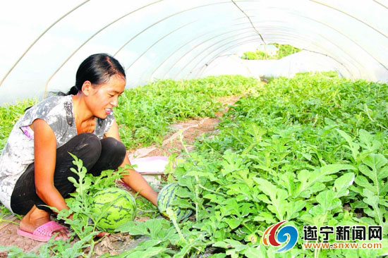 �Ĵ���Ϫ�أ���ʯ�����ϴ���� ��ũ�����ֿ���