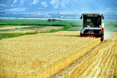 ɽ��ʡ���������ѳɶ���