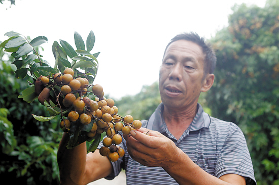 �㶫�麣��������Ķ���� ˮ������ǳ�