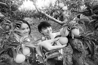 �������ƶ��������ӿ�ժ��