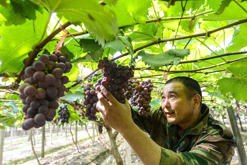 �㽭�����أ���Ķ����ӭ����