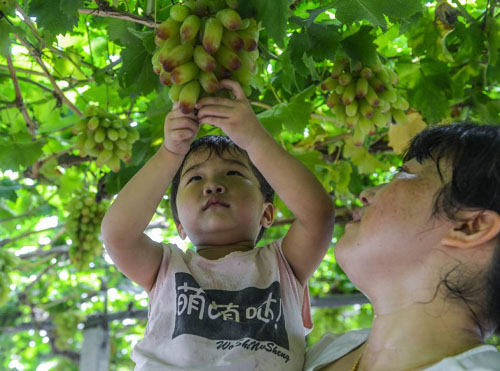 7��26�գ��ο��ڡ����ѳ��ȡ��ڲ�ժ���ѡ�