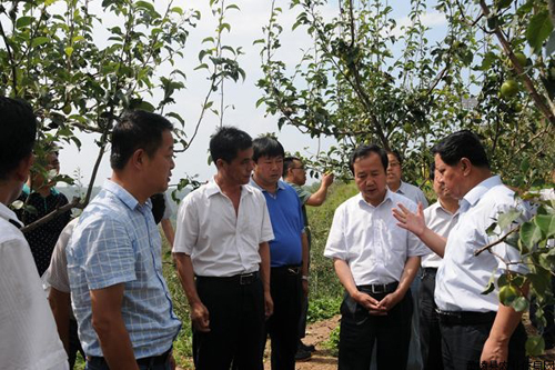 �������꣺���������ز鿴ũҵ���ּ�����ƻ��ʾ��԰�������